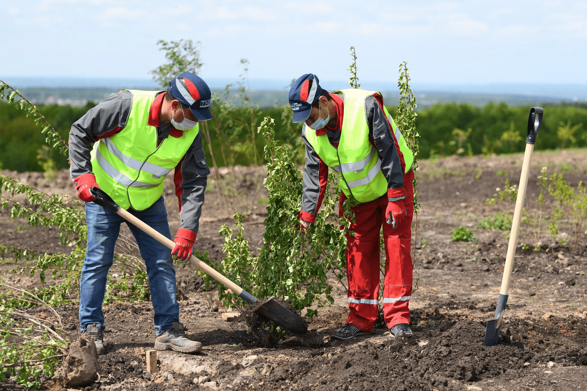 Биологическая рекультивация