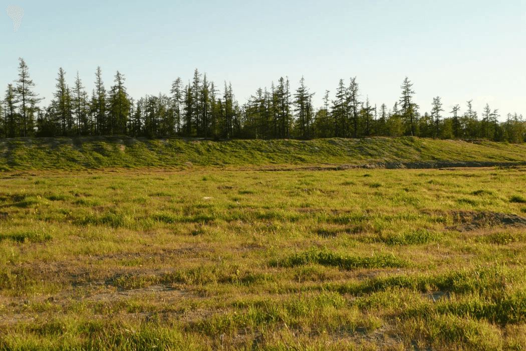 Восстановленная земля