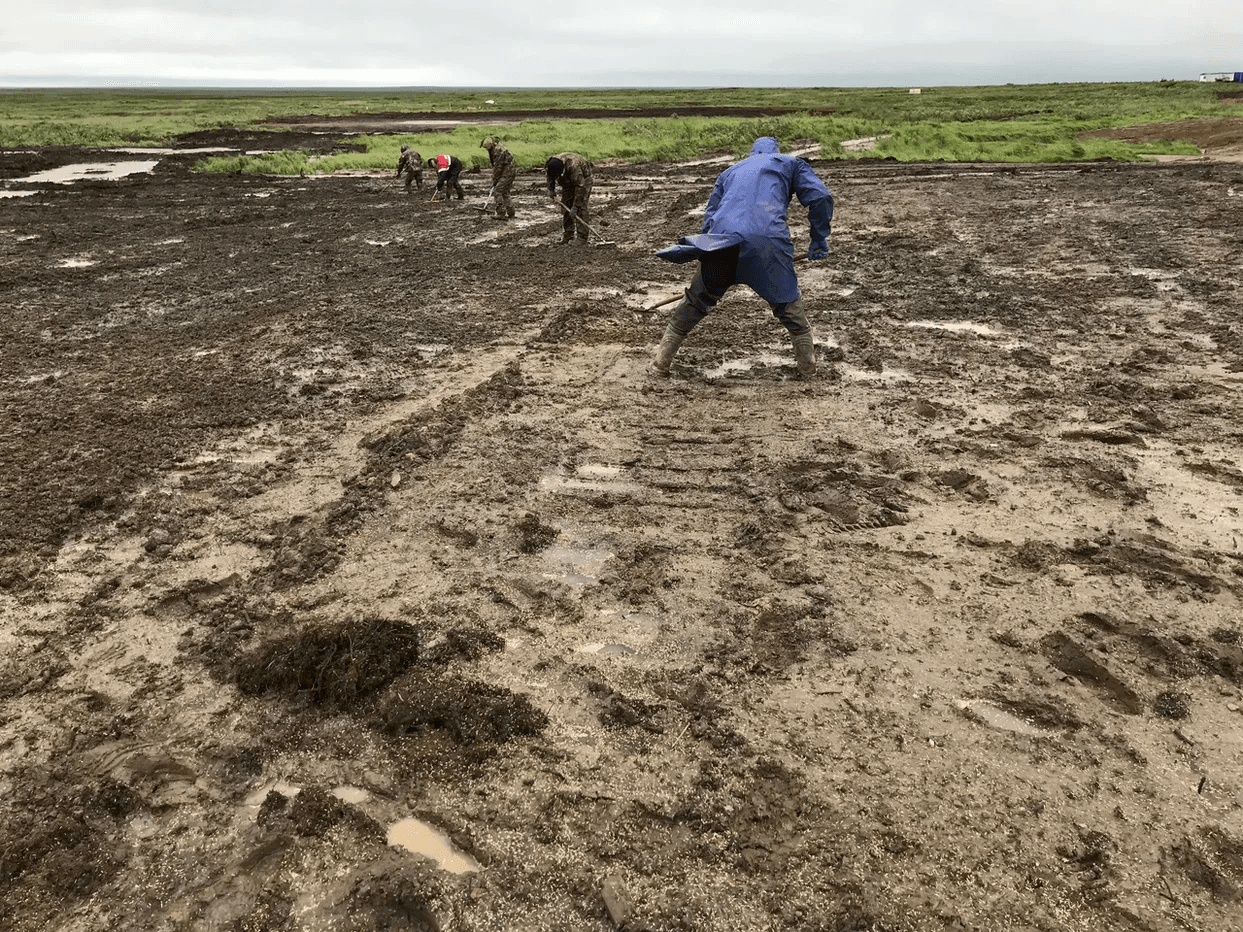 Рекультивационные работы "Рубуса"