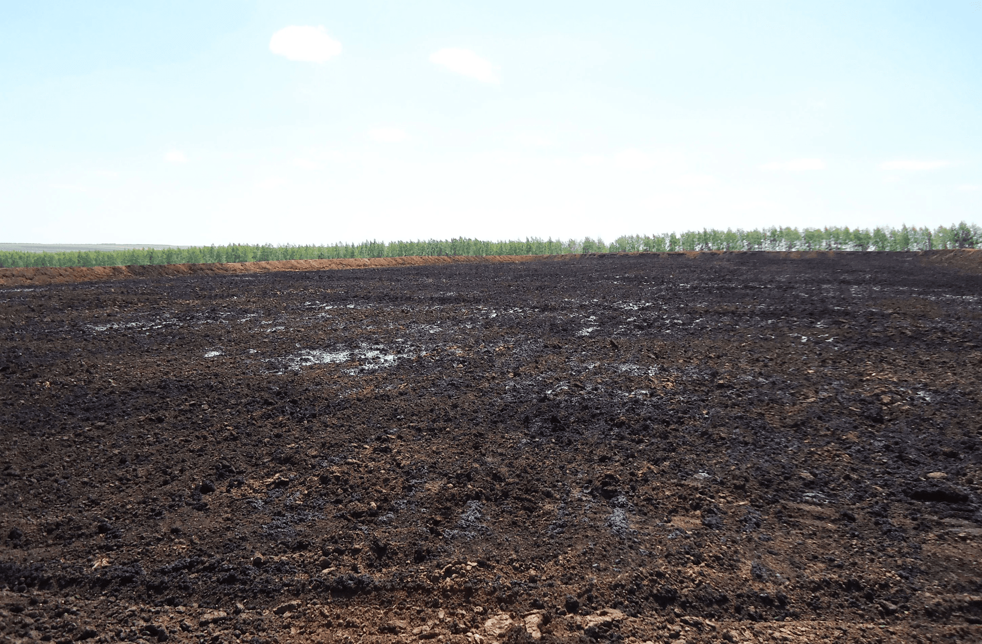 Рекультивационные работы