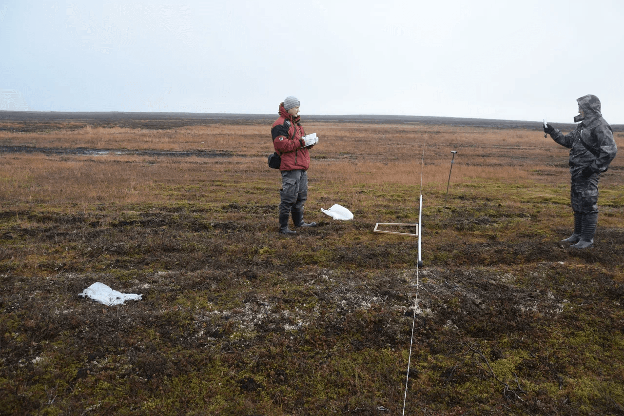 Работы предприятия