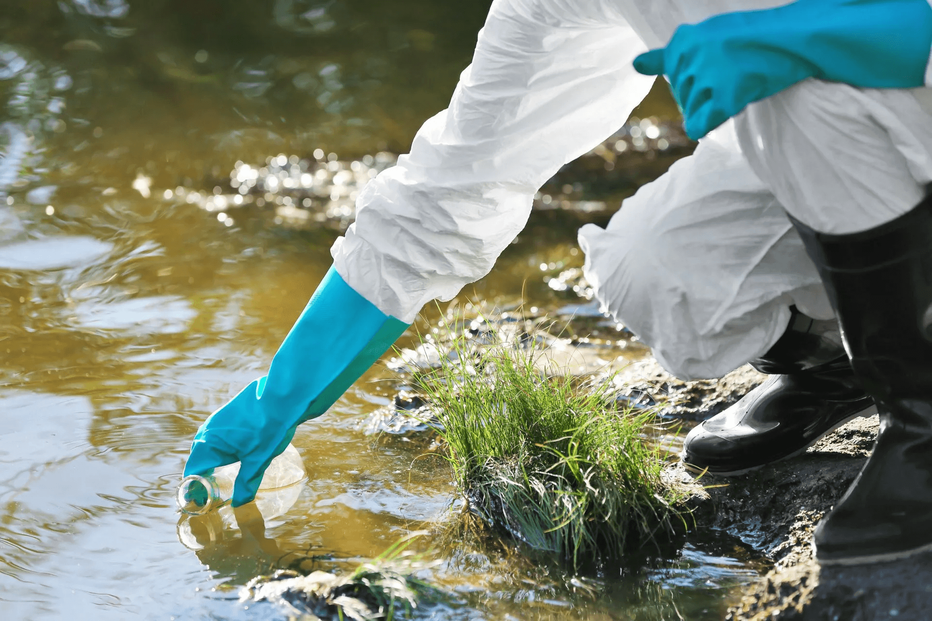 Экологический мониторинг