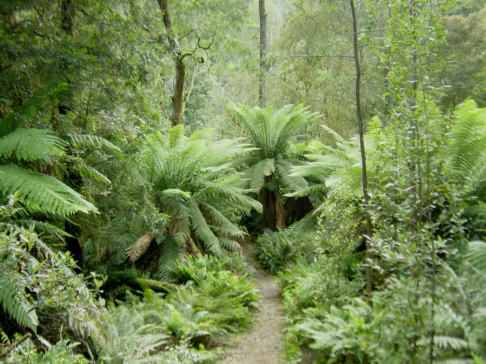 Тестовая фотография